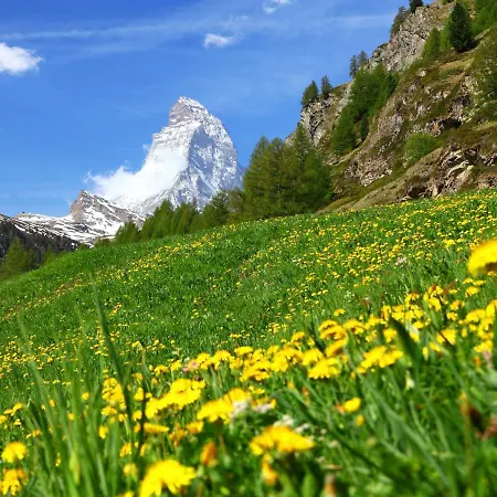 Zur Matte B-6 By Interhome Apartment Zermatt